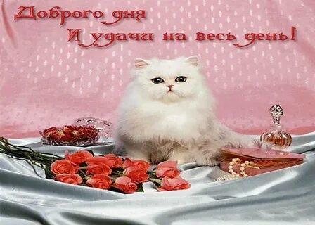 Спешу пожелать