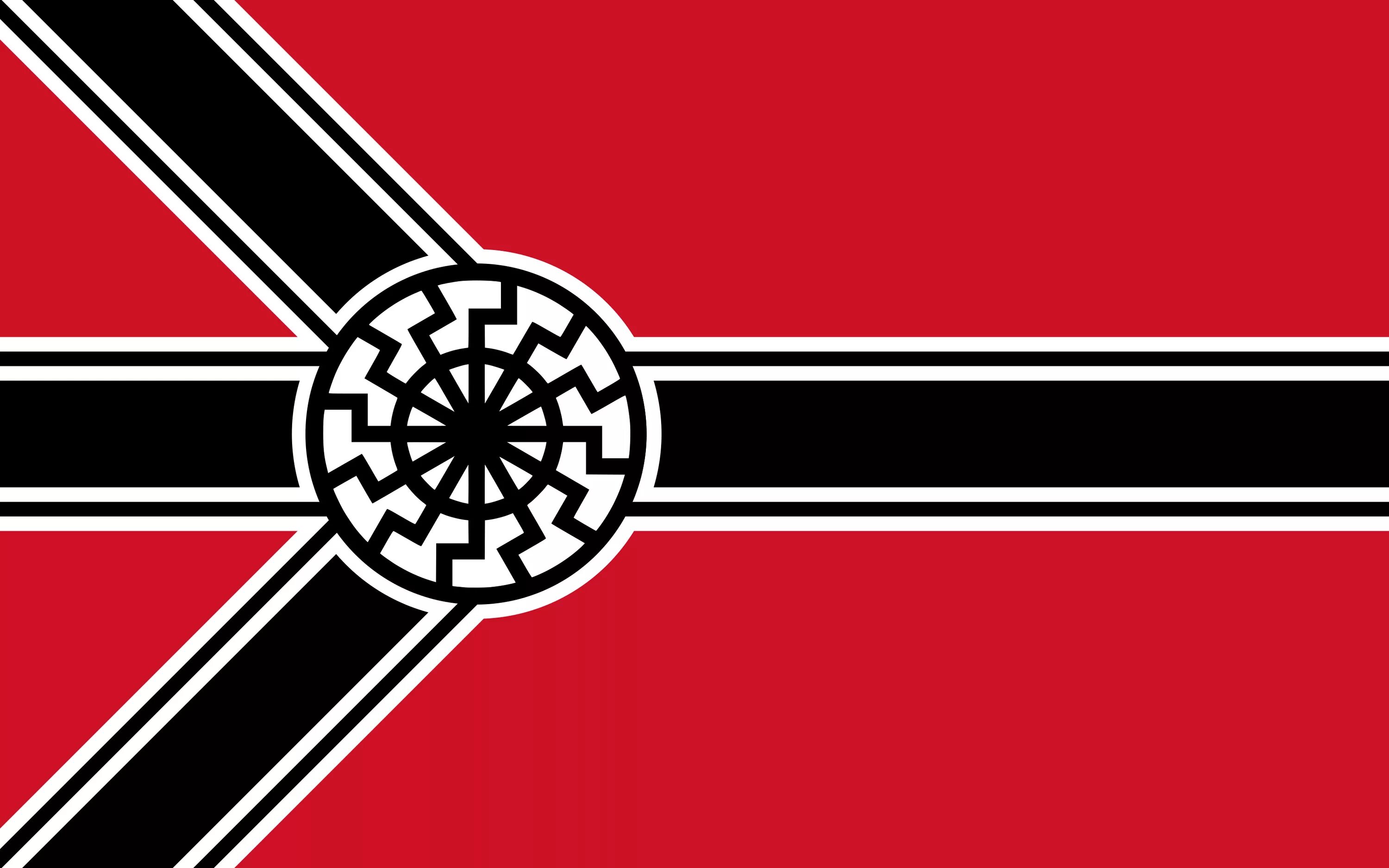Флаг нацистской Германии черно белое. Альтернативный флаг нацистской Германии Германии. Флаг White Pride World wide. Нацистский флаг. 1488 3
