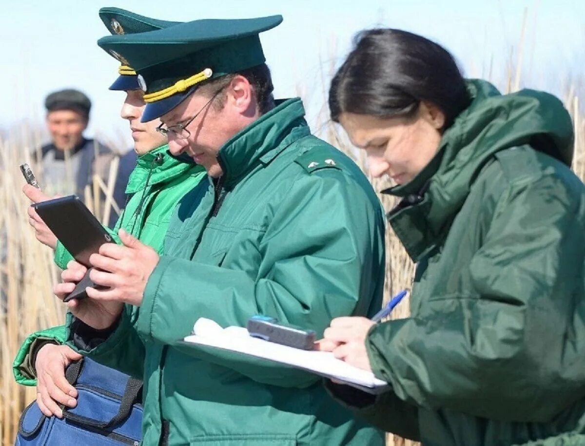 Экологический надзор. Инспектор экологического надзора. Форма экологов. Проверки по экологии. Осуществление государственного экологического надзора