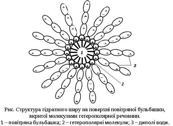 Гидратная оболочка. Гидратная оболочка белков. гидратные сферы. образование гидратной оболочки белка.
