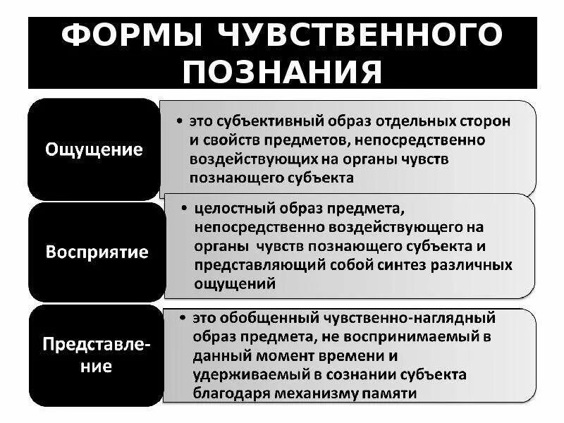 Чувственная форма сознания. Формы чувственного познания в философии. Этапы чувственного познания. Значение чувственного познания. Стадии чувственного познания.