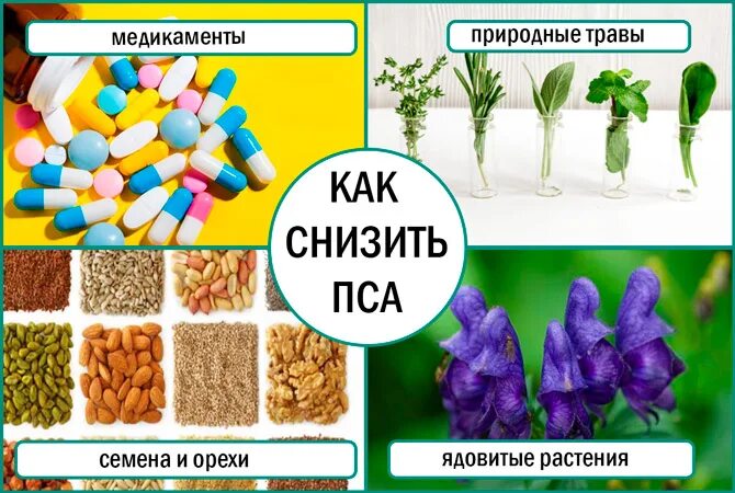 Как снизить пса в крови у мужчин. Лекарство для уменьшения пса. Продукты снижающие пса. Лекарство для понижения уровня пса. Продукты повышающие пса.