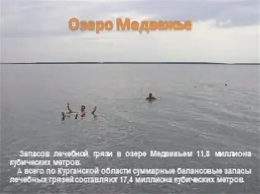 Погода озеро медвежье курганская. Курорт озеро Медвежье Курганская область. Санаторий Медвежье Курганская область. Санаторий озеро Медвежье Курганская. Санаторий озеро Медвежье Курганская область.