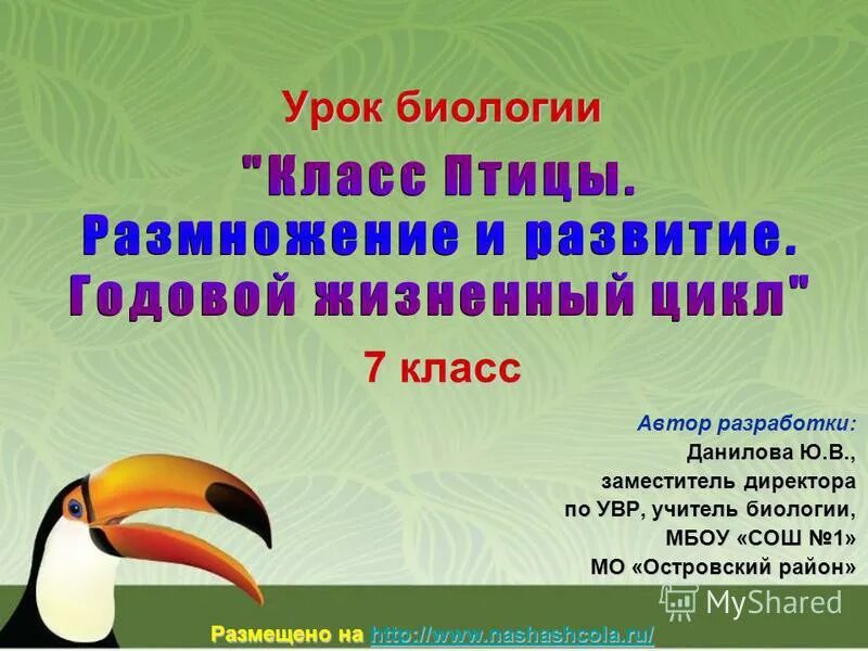 Размножение птиц презентация 7 класс. Сезонные явления в жизни птиц 7 класс. Урок биологии 1 класс. Урок биологии 7 класс. Годовой цикл и сезонные явления в жизни птиц.