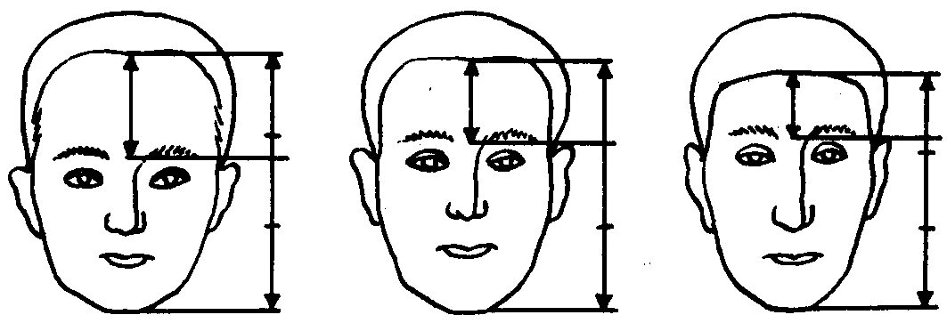 Какой должен быть лоб. Ширина лба криминалистика. Высота лба криминалистика. Лоб средней высоты. Лоб человека в криминалистике.