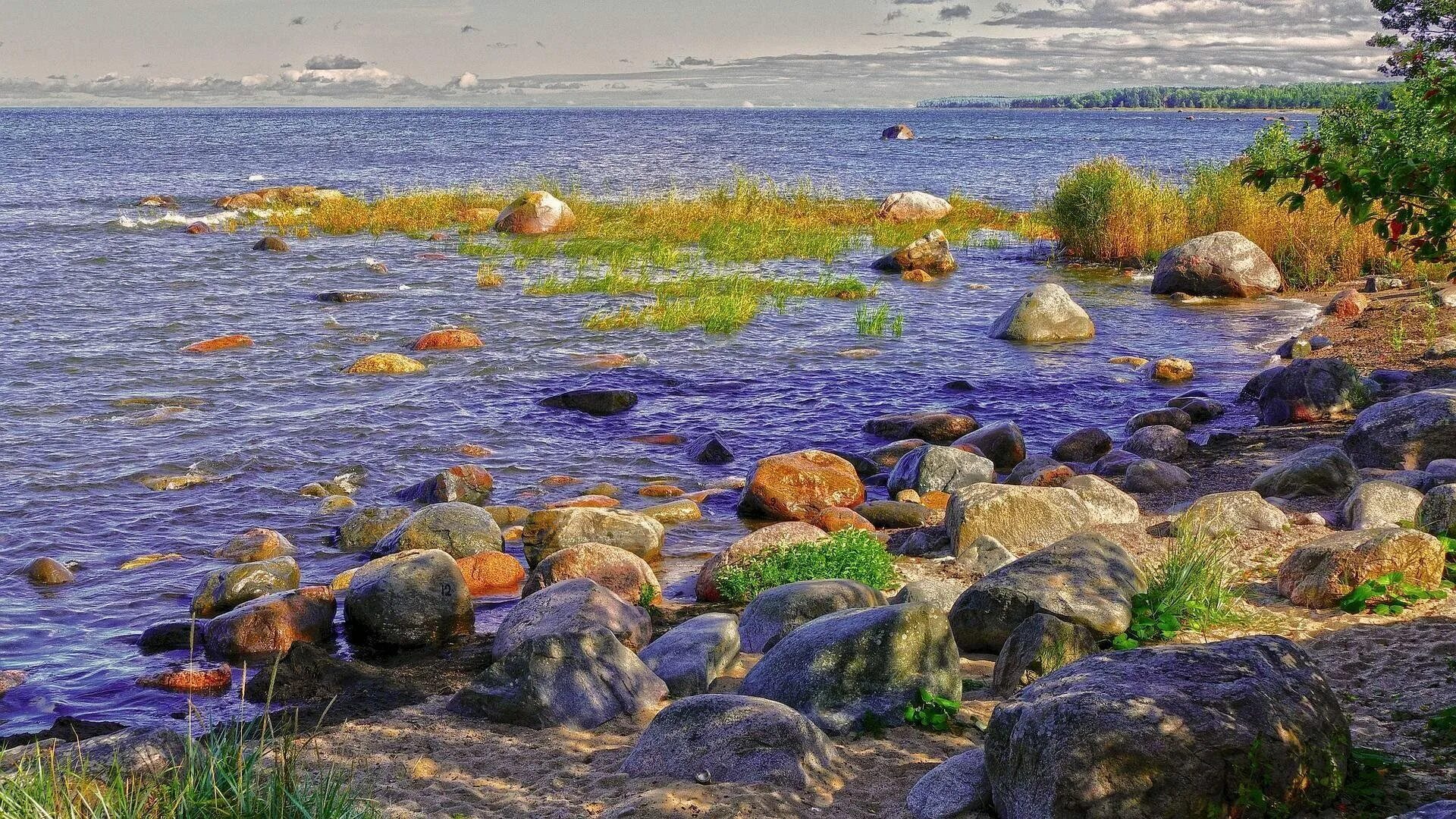 Балтийский берег морская. Балтийское море. Балтийское побережье,Балтика,. Балтика Балтийское море. Берег Балтийского моря Зеленоградск.