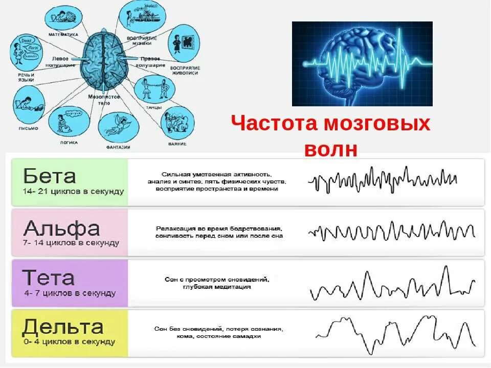 Мозг альфа бета