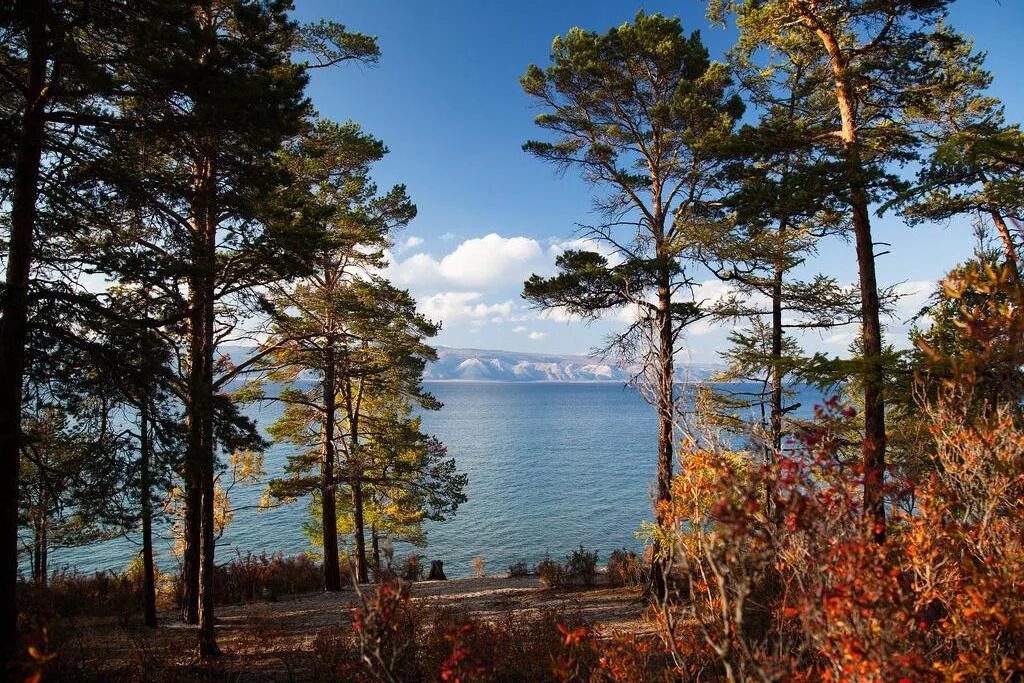 байкал осень ольхон. байкал осень ольхон. байкал осенью. река ангара иркутск осень. осенний ольхон.