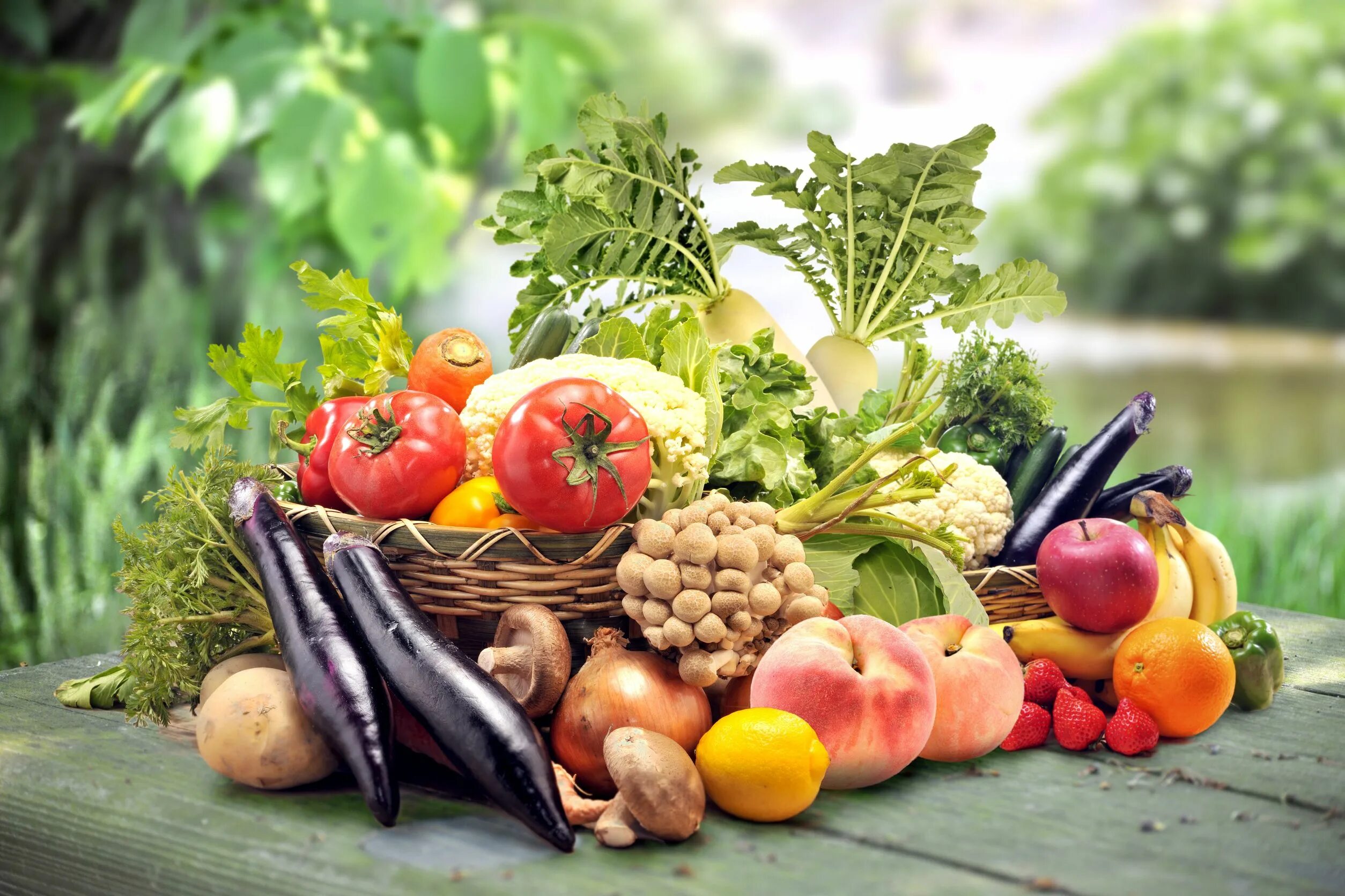 Овощи и фрукты. Овощи, фрукты, ягоды. Овощи фрукты зелень. Свежие овощи и фрукты. Организация фрукты овощи