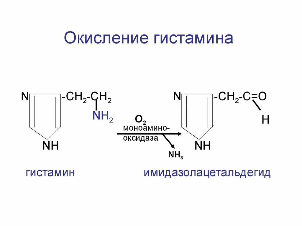 Диаминоксидаза гистамин. Распад гистамина. Окисление гистамина. Метаболизм гистамина.