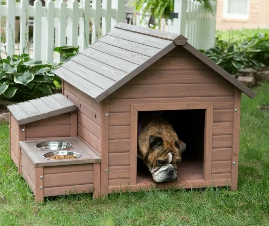 Собачья конура будка. Вольер будка усадьба. Красивая собачья конура. Конура домик для собаки.