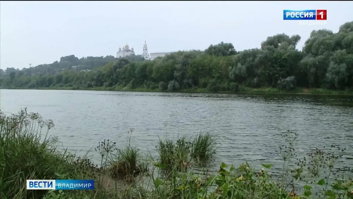 Уровень воды в реке клязьма. Река Клязьма во Владимирской области. Река Клязьма обмелела. Река Клязьма Суздаль.