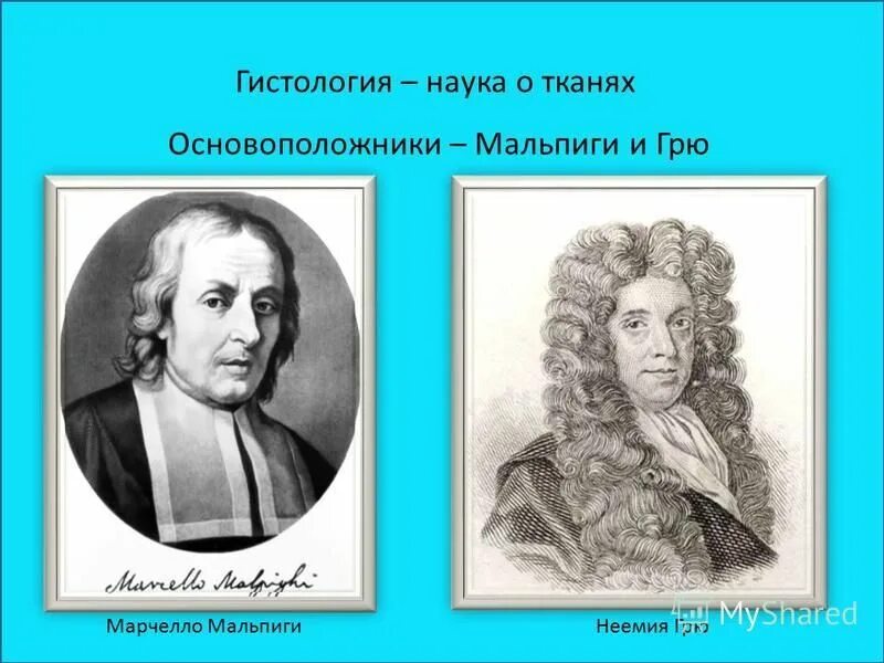 Основоположник гистологии. Основоположник гистологии. Основоположник гистологии. Основоположник гистологии. Биша (1771—1802).