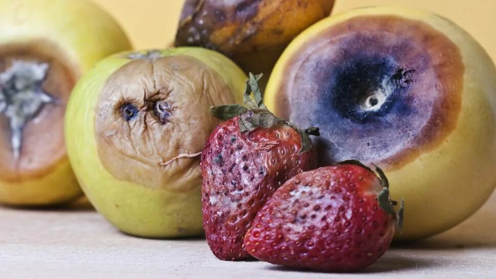 Яблоко фрукт или овощ. Гнилые фрукты. Испорченные продукты. Гнилые продукты. Гниение овощей и фруктов.