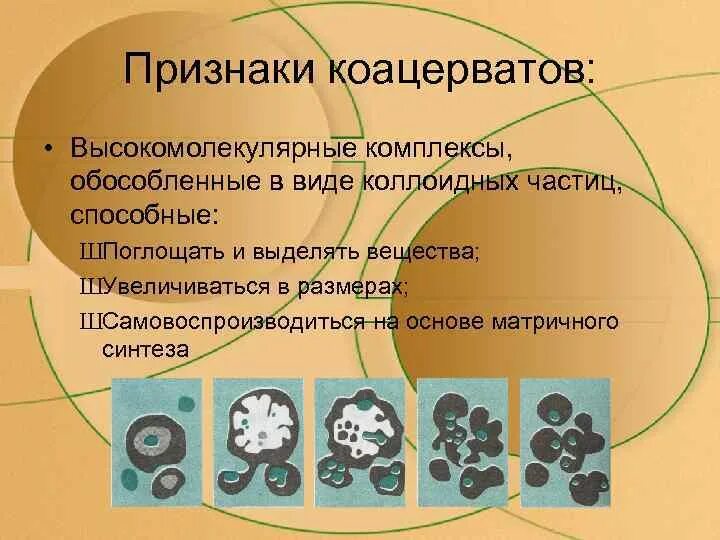 Коацерватная гипотеза. Гипотеза пробионты. Синтез коацерватов последовательность. Эволюция коацерватов. Теория коацерватов Эволюция.