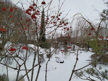 Ива парк общественное культурное пространство тюмень