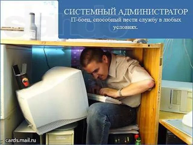 Системный администратор. День системного администратора. Системный администратор прикольные. Системный администратор картинки. Работаем в любых условиях