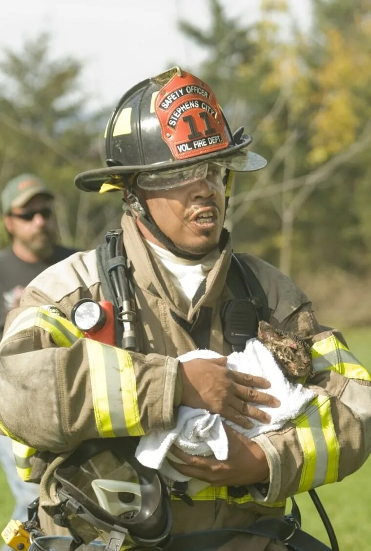 Saving cat
