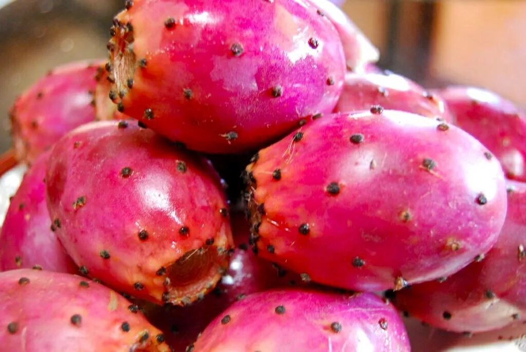 Фрукт белый внутри с косточками. Prickly Pear фрукт. Prickly Pear Cactus. Опунция плоды. Опунция Инжирная.