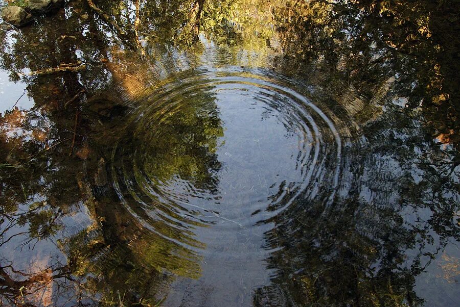 Родничок вырывается из земли. Родник. Вода Родники. Природный Родник. Вода в пруду.