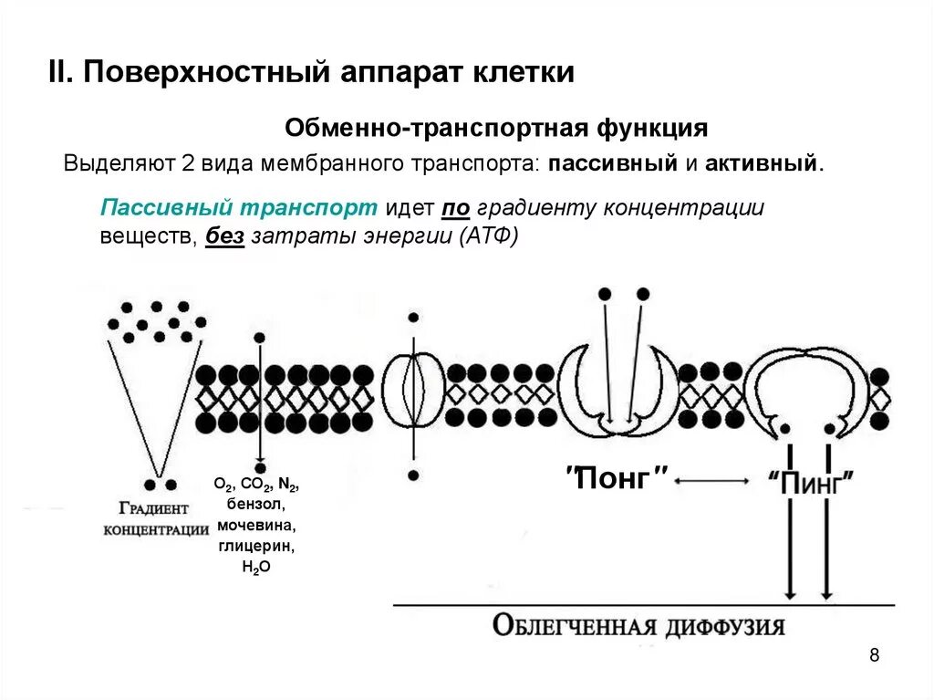 Какой вид мембранного транспорта показан на рисунке. Поверхностный аппарат клетки биологическая мембрана. Строение поверхностного аппарата растительной клетки. Опорный аппарат клетки строение и функции. Строение поверхностного аппарата животной клетки.