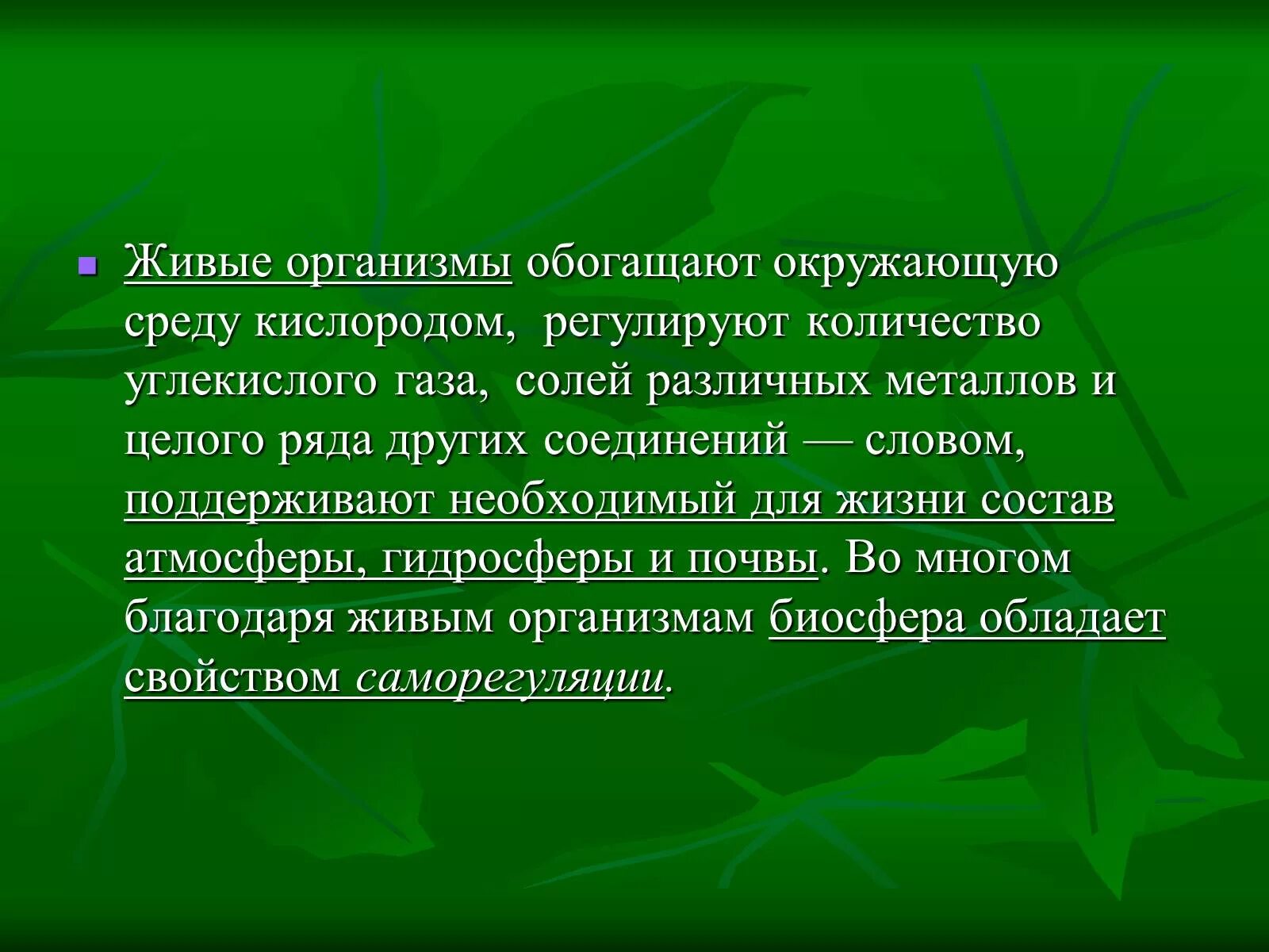 Значение организмов в природе. Значение живых организмов в жизни человека. Значение живых организмов в природе и жизни человека. Роль живых организмов в природе. Живое значит обладающее