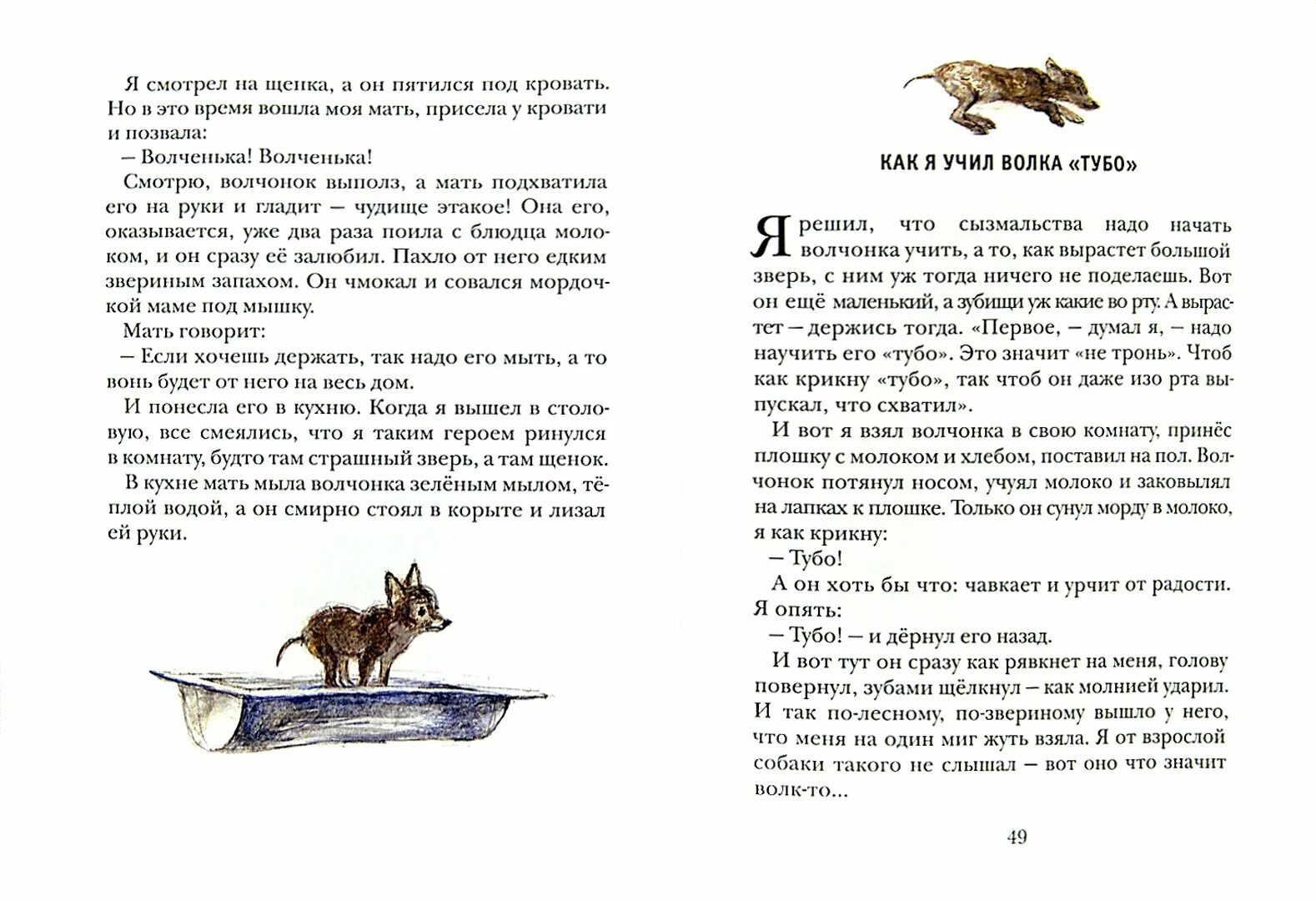 Рассказ житкова распечатать. Рассказ житкова распечатать. "рассказы о животных". Рассказы бориса житкова о животных. "рассказы о животных".