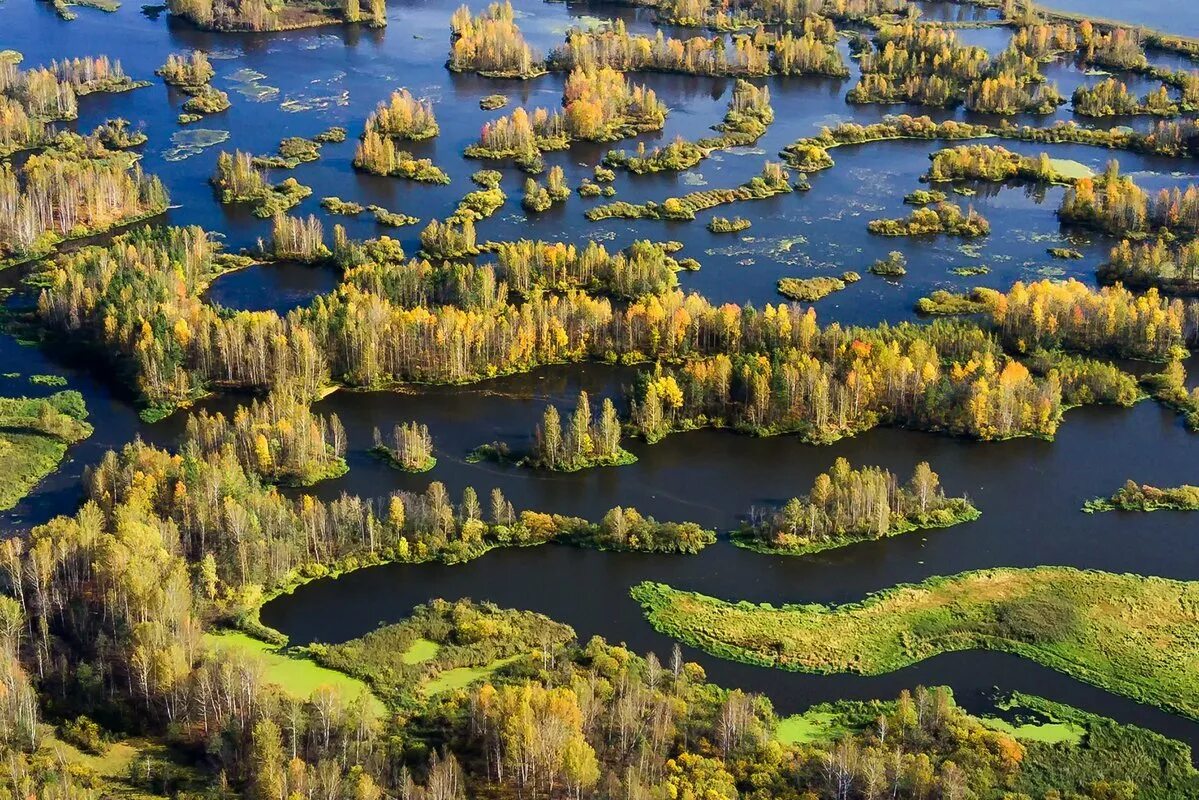 Река нейва. Река нейва свердловская область. нейва шайтанка река. река нейва петрокаменское.