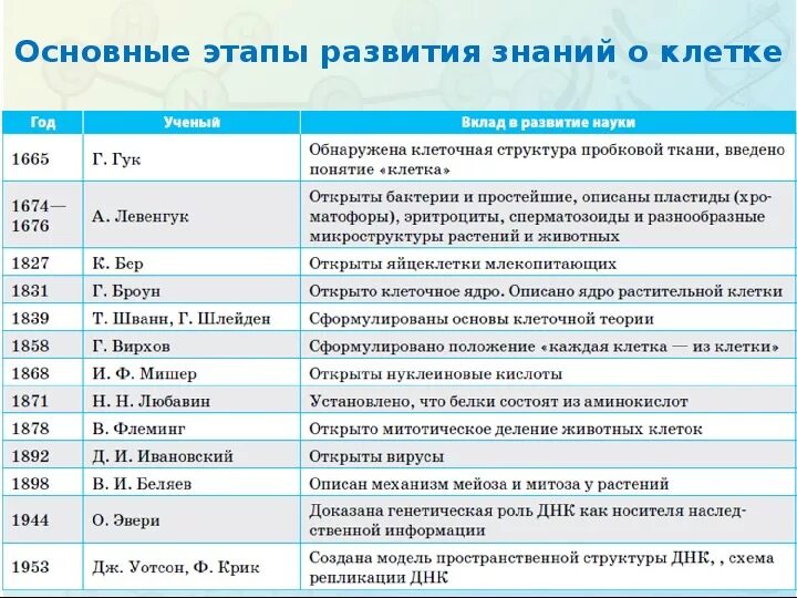 Список открытия объектов. Основные этапы развития клеточной теории таблица 10 класс. Клеточная теория ученые и вклад. Основные этапы формирования клеточной теории. Цитология – наука о клетке. История развития..