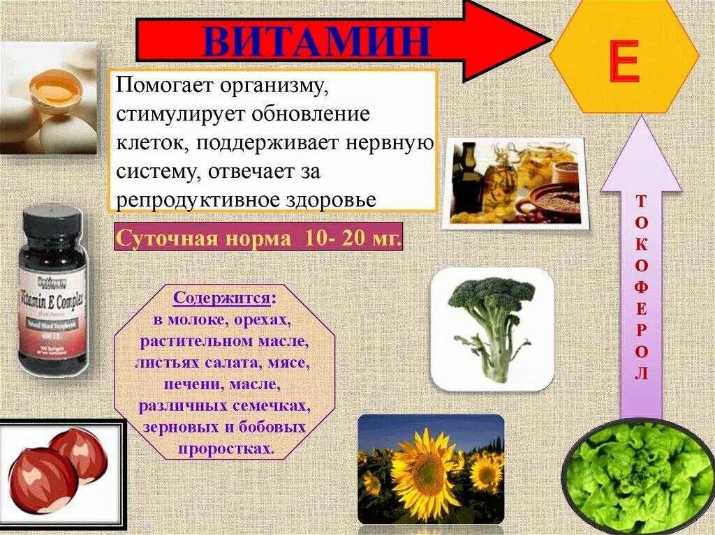 Витамин е доклад 8 класс по биологии кратко. Доклад про витамины. Витамин е и витамин д. Проект витамины.