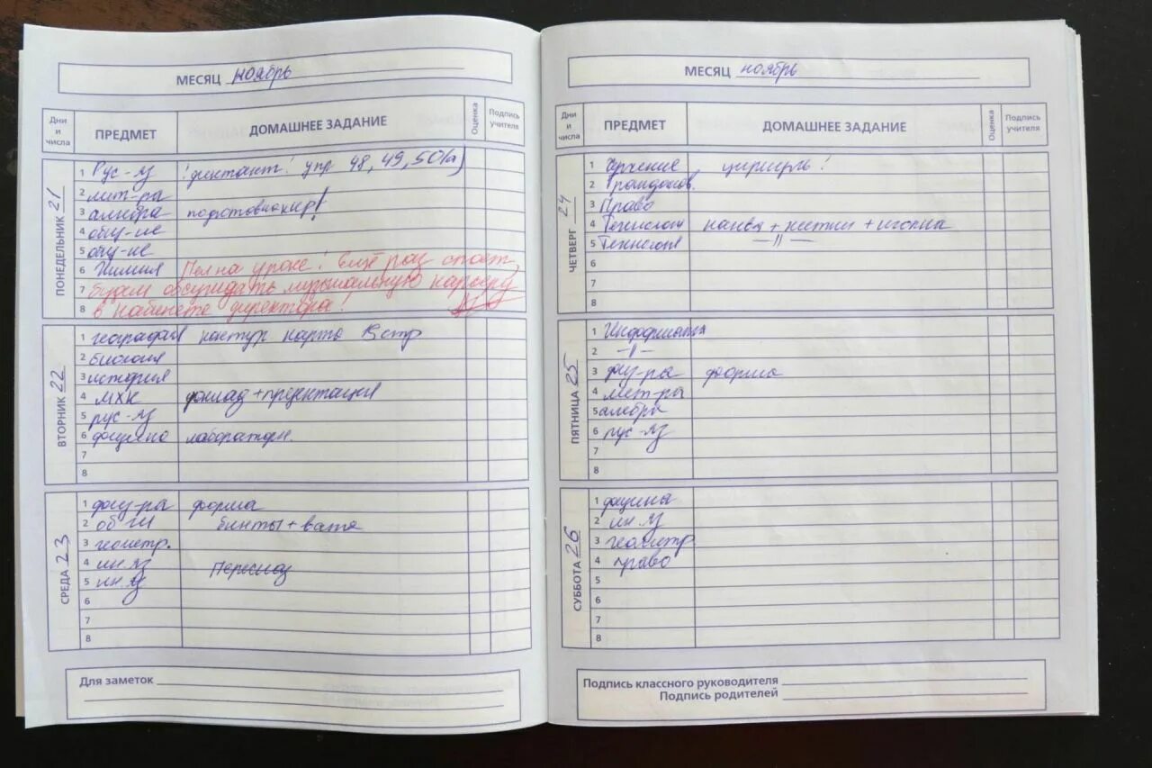 Дневник домашнее задание