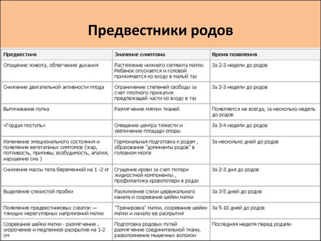 Сколько часов схватки. Предвестники родов. Роды предвестники родов. Предаестникиродов. Предвестники родов у первородящих перед родами.