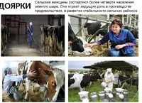 Сколько зарабатывают доярки