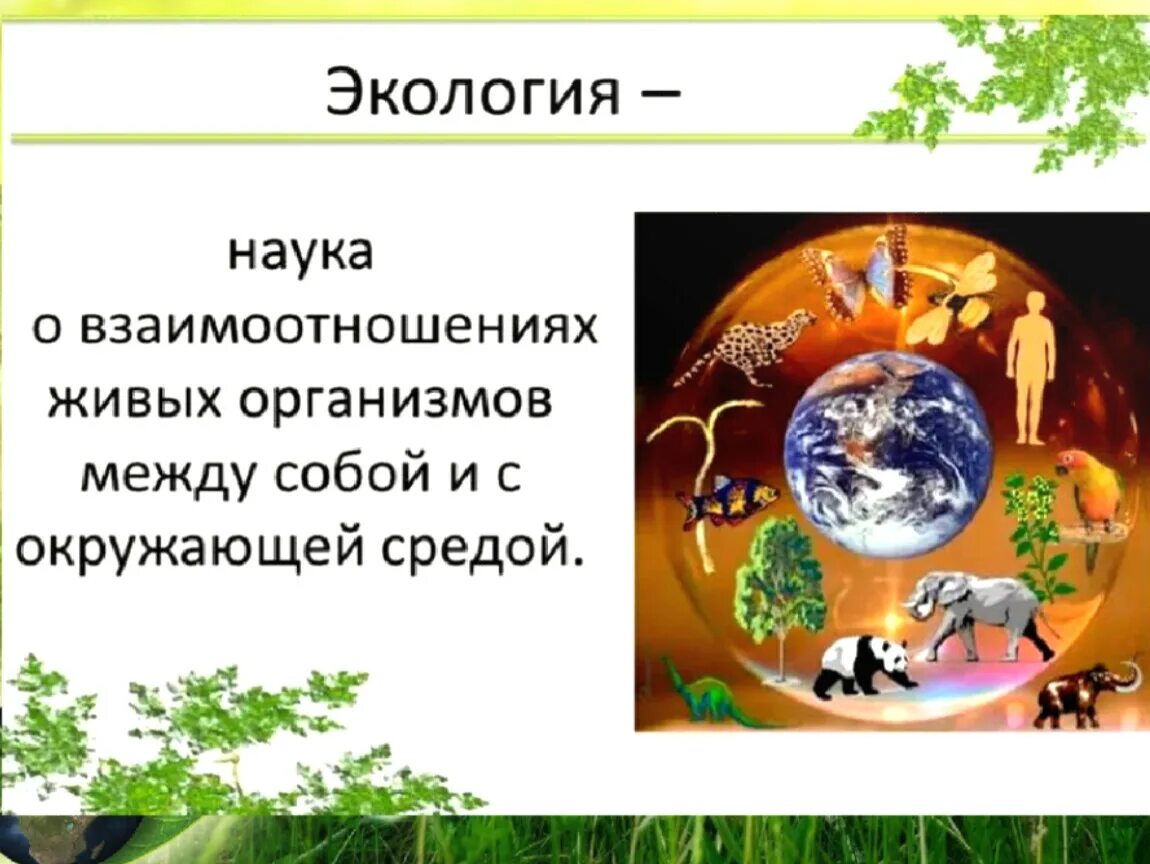 Экология это наука. Экология презентация. Презентация на экологическую тему. Экология определение. Экология презентация 4 класс