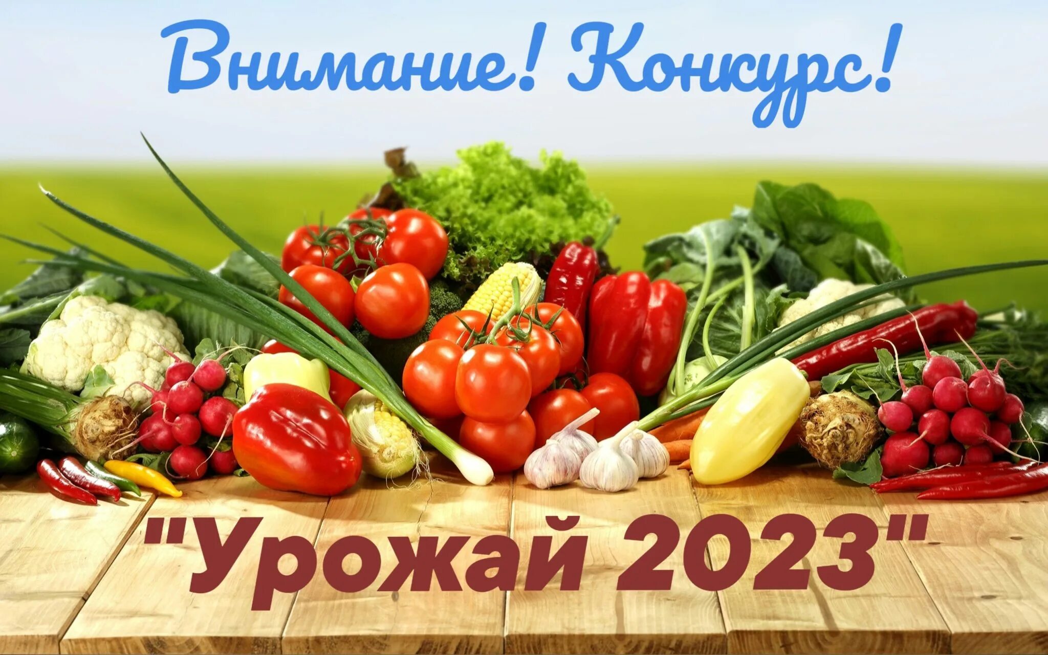 ящик для рассады "урожай-10" 35х29х10 агропласт. урожай 4. урожай 4. огород урожай. ящик для рассады 4 (40 х 25 х 10 см) агропласт.