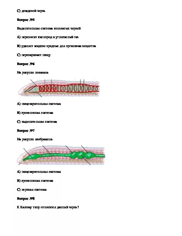 Типы плоские черви круглые черви кольчатые черви тест. Тест по плоским червям. Проверочный тест по теме типы плоские круглые и кольчатые черви. Тест по теме сравнение типов червей. Тест по червям 7 класс