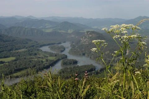 Алтайский край видео