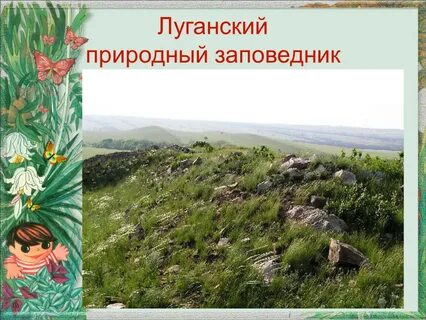 В луганском государственном заповеднике