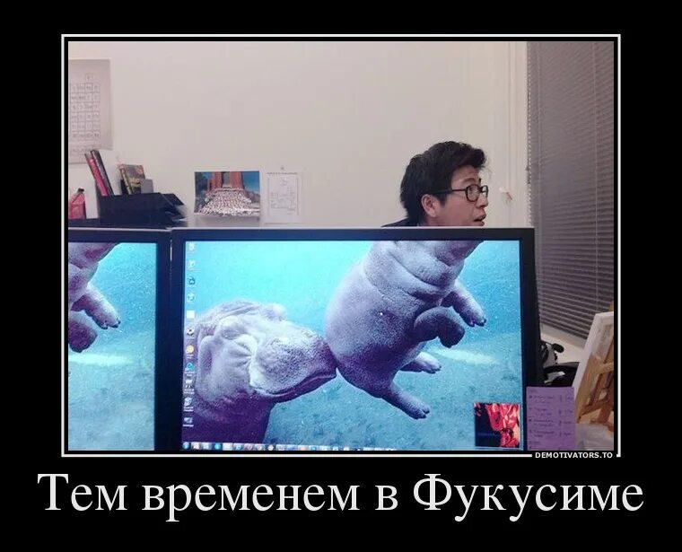 Аляска прикол. Председатель демотиватор. Жмурки рулетка. Тем временем на. Мемы комиксы в параллельной вселенной.
