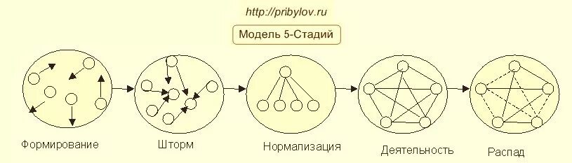 Низший уровень развития группы. Модель развития группы Коэна. Стадии развития группы. Модель Коэна схема. Фазы развития группы.