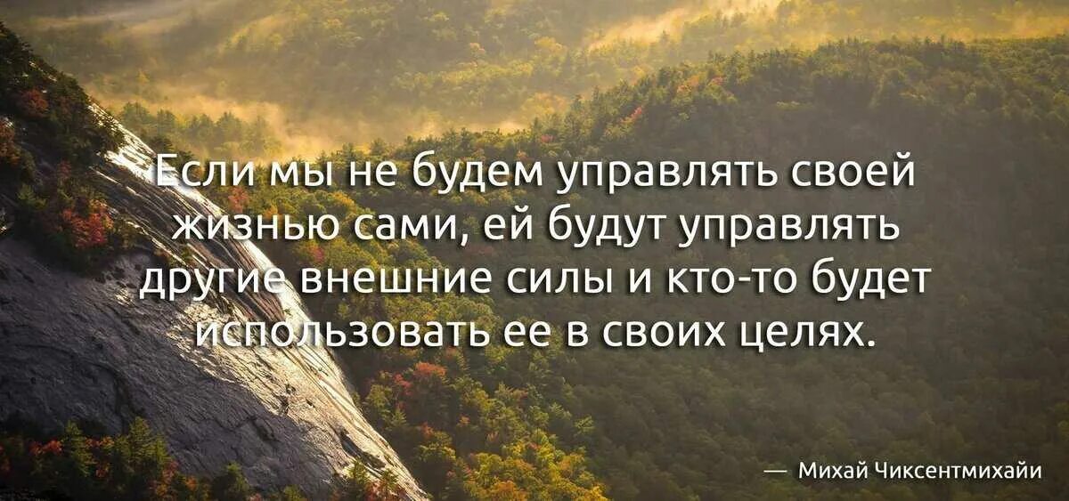 Человек сам вправе. Ты сам Творец своей жизни. Человек сам Творец своей жизни. Цитаты человек Творец своей судьбы. Управляй своей жизнью цитаты.