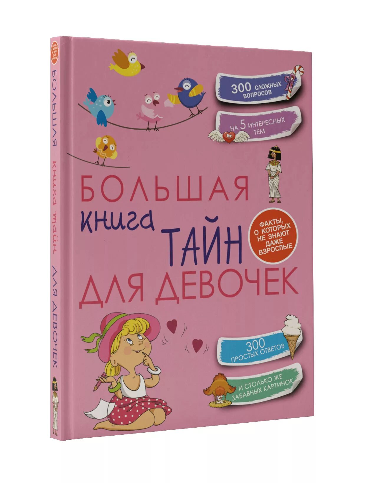 Большая книга для девочек. Большая книга тайн. Большая книга тайн. Хомич е. Большая книга тайн для девочек.