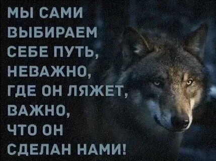 С волками жить выть