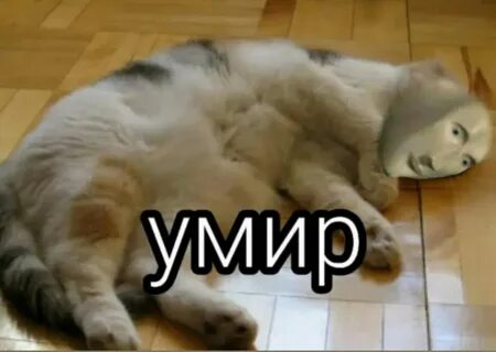 Умир умир бир келар