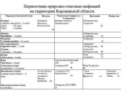 Природная инфекция