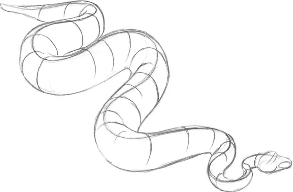 Легкая змейка. Змея карандашом. Змея для рисования. Эскиз змеи. Змея нарисовать.