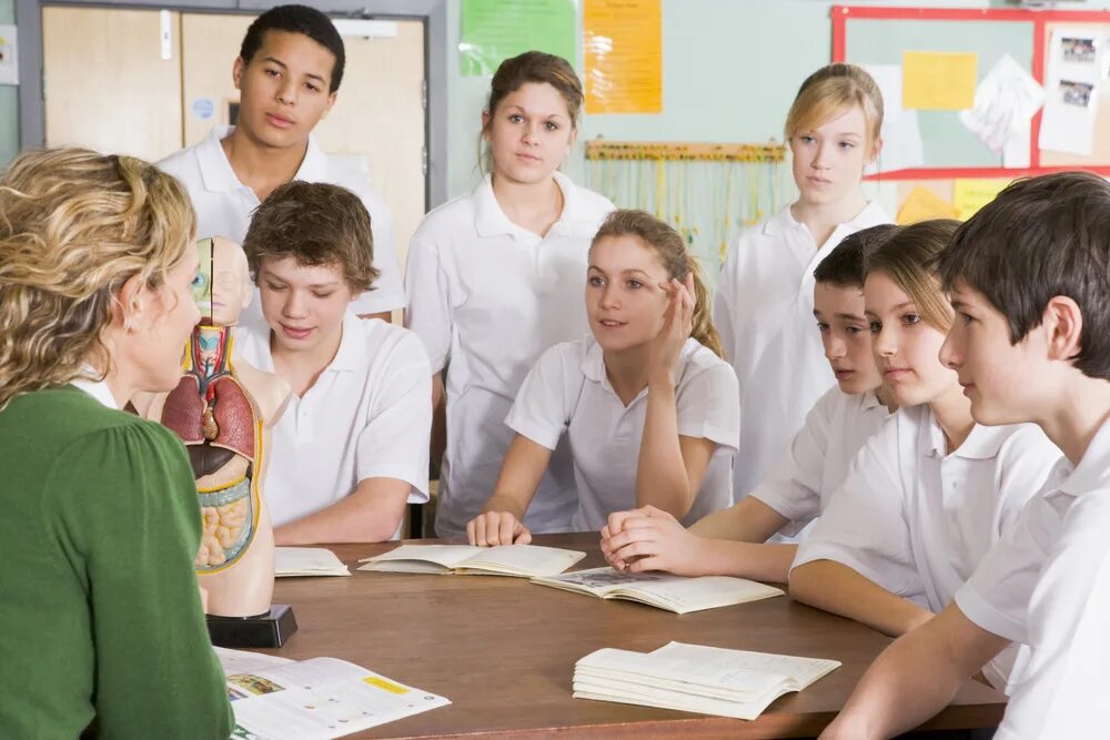 школа сотрудничества. школа сотрудничества школа. школа сотрудничества фото. учитель и ученик. учитель и ученик.