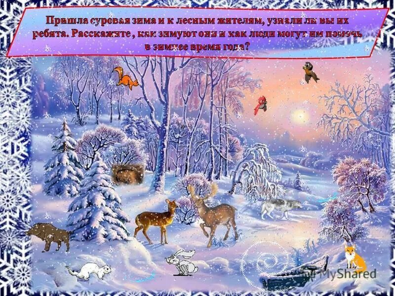 дикие животные зимой для детей. зимние явления у животных. как зимуют животные в лесу. как зимуют звери. пришла зима для дошкольников.