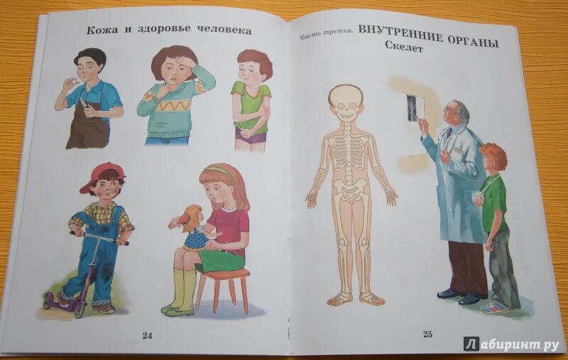 А я не программа я человек. А я не программа я человек