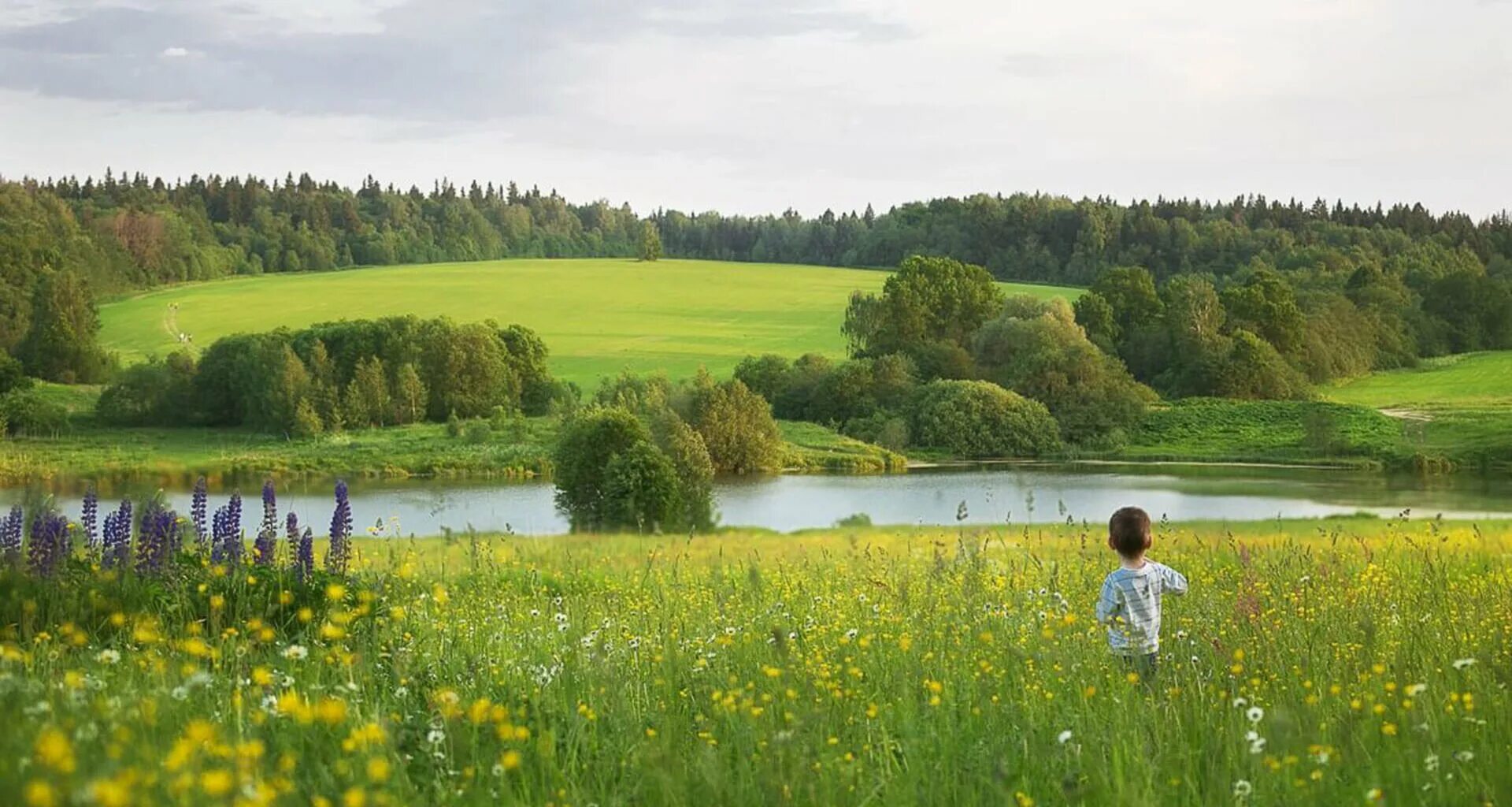 Мать солнце природа родина. Поля и Луга Кировской области. Летний пейзаж. Лето луг. Луг простор.